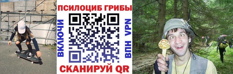 Галлюциногенные грибы Psilocybe  Купить  Южно-Сахалинск 